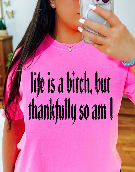 TLC LIFE IS A BITCH