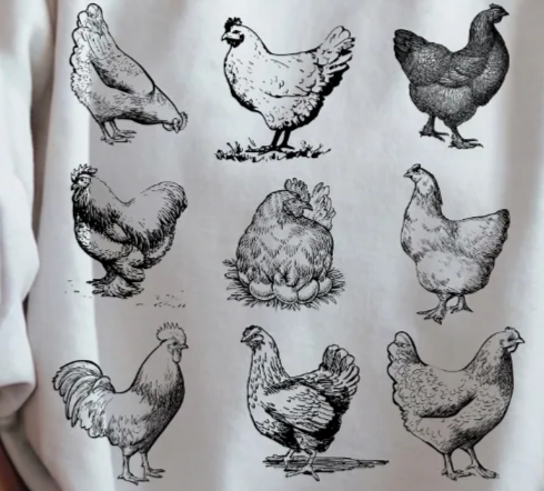 TLC CHICKENS